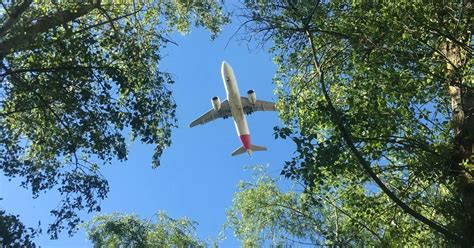 Cuidado Del Medioambiente Cuál Es La Aerolínea Que Permite A Los