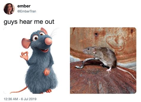 35 Funniest Ratatouille Memes To Cook Up A Smile FandomSpot