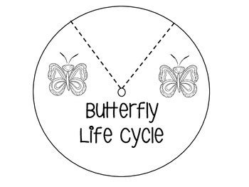 Butterfly Life Cycle Wheel Craft