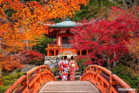 Daigo Ji cómo llegar al templo más bello de Kyoto