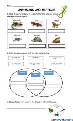 5º Mammals Birds Reptiles Amphibians and Fish Interactive