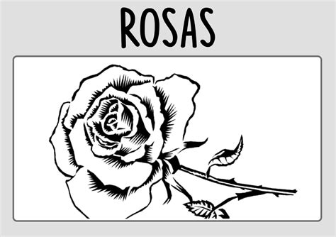 Dibujos De Rosas Para Colorear L Minas De Rosas