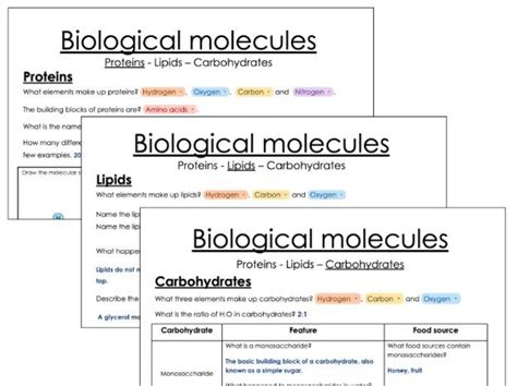 Biological Molecules Worksheet Igcse Biology Teaching Resources