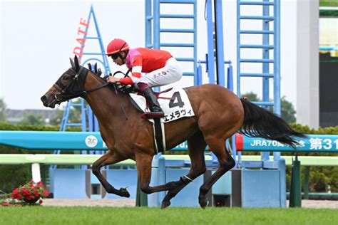 【2歳新馬／函館5r】8番人気の伏兵エメラヴィが抜け出しv 横山武「新馬としてはいい内容でした」東スポ競馬 Goo ニュース