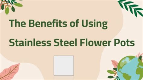 The Benefits Of Using Stainless Steel Flower Pots Farsana Ashiq