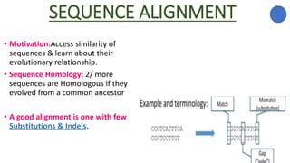 Sequence Alignment | PPT