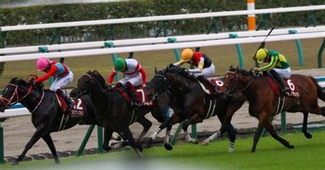 【2024 京都新聞杯（g2）】日刊馬番コンピ指数分析予想篇｜haya