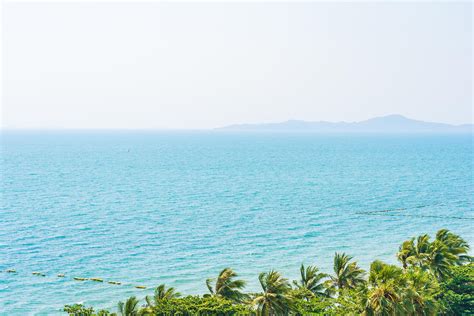 beautiful tropical ocean  stock photo  vecteezy
