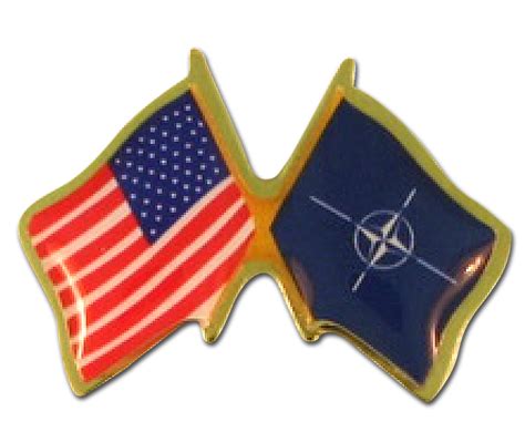 Usa Printed Crossed Flag Pins