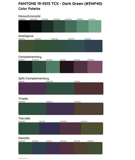 PANTONE 19-5513 TCX - Dark Green color palettes - colorxs.com