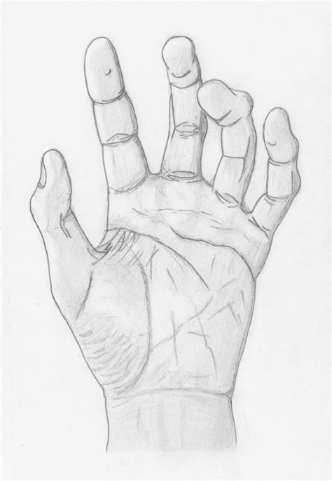 left hand sketch by thevflytrap on DeviantArt