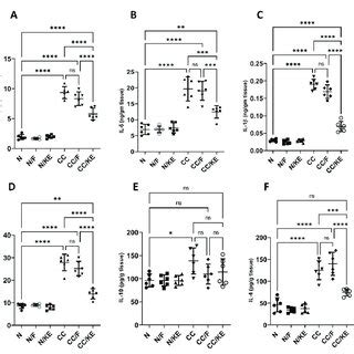 The Impact Of KE Ingestion And Intermittent Fasting On Tumor Necrosis