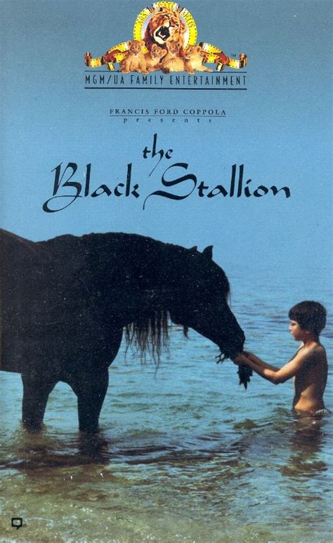 The Black Stallion (1979) - Carroll Ballard | Synopsis, Characteristics ...