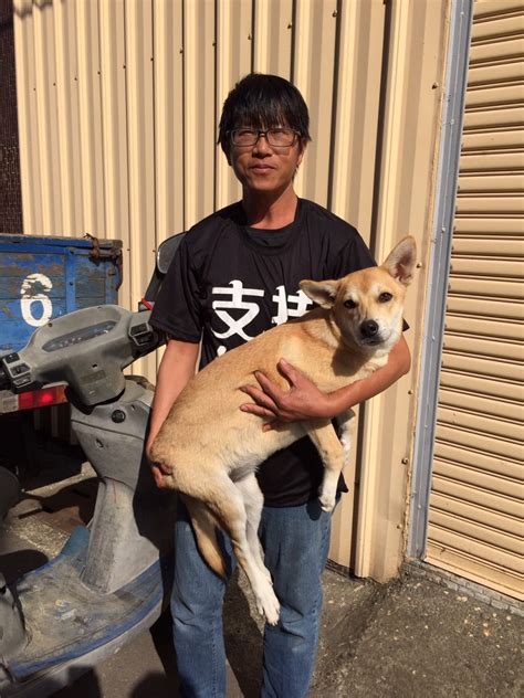 家犬絕育大賽稽查 阿伯高喊支持絕育 社團法人中華民國保護動物協會