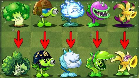 Pvz 2 Discovery All Plants Same Shape In Pvz 2 China And Official Youtube