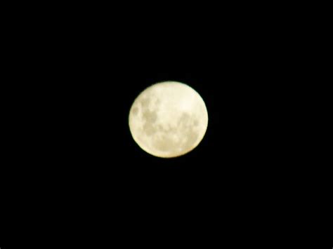 Free Images : full moon, nature, photograph, moonlight, atmospheric ...