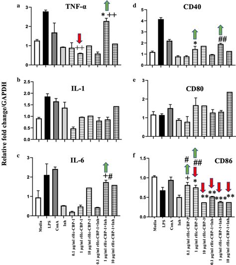 Activity Of Rhc Cbp On Bovine Peripheral Blood Mononuclear Cells