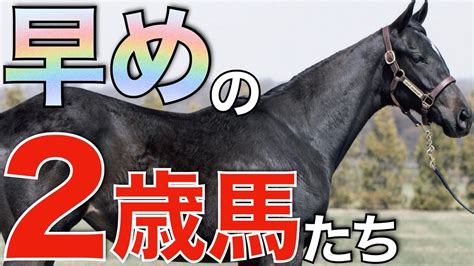 【血統馬揃う】早期デビュー目指して2歳馬たちが続々と入厩！あの最強馬の妹も。 競馬動画まとめ