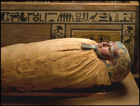 The Strange Fates Of Pillaged Mummies About Jstor