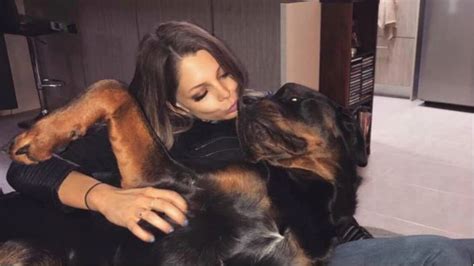 Perth Woman Mauled By Rottweilers Acquires Bacterial Infections News