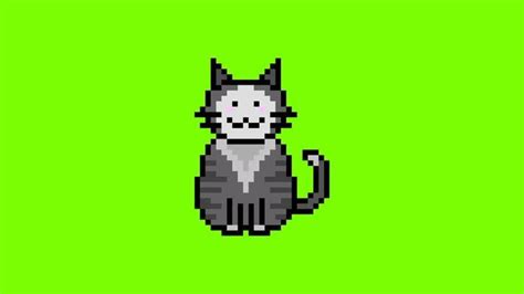 Cat Animation Stock Video Footage for Free Download