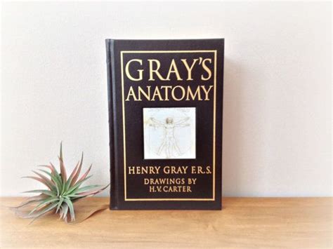 Gray S Anatomy Th Edition Hardcover By Vintage Something Student