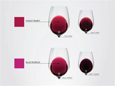 What Color Tells You About a Wine | Wine Folly