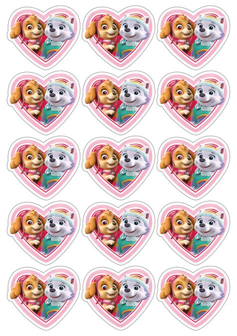 Centro De Mesa Patrulha Canina Rosa Skyie E Everest Png F3c Paw Patrol Skye Birthday Paw