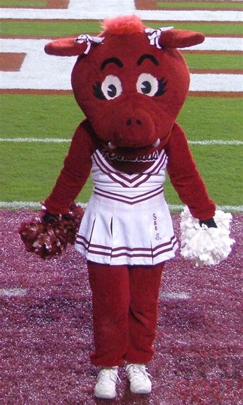 Sue E Pig Appeared In The 1990s And Is The Female Mascot For The