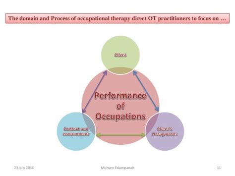 Occupational Therapy Practice Framework Domain And Process 2nd Edition