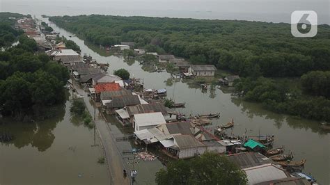 FOTO Banjir Rob Masih Genangi Permukiman Warga Muara Gembong Foto