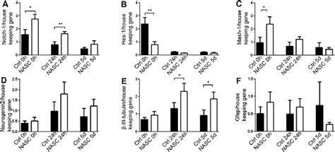 Gene Expression Is Affected In Npcs Isolated From Nasc Normalized Gene