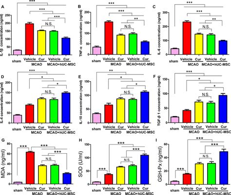 Combined Curcumin Huc Msc Treatment Alleviated Inflammation And