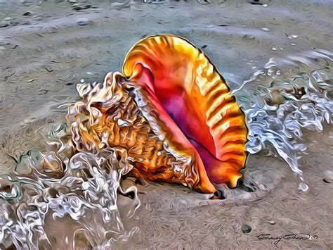 Conch Shell Digital Art By Anthony C Chen