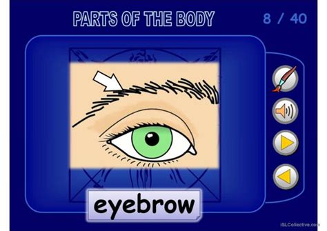 Body Parts Ppt Pictionary Picture D English Esl Powerpoints