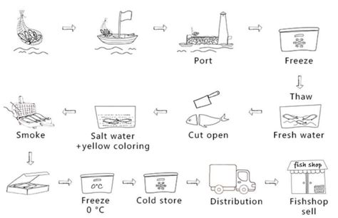 The Diagram Below Shows The Process Of Canning Of Fish The D