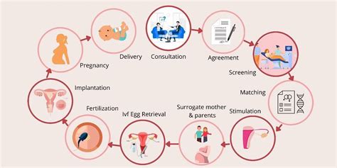 Cost Of Surrogacy In Pune Guaranteed Surrogacy With Donor Egg Fertilityworld