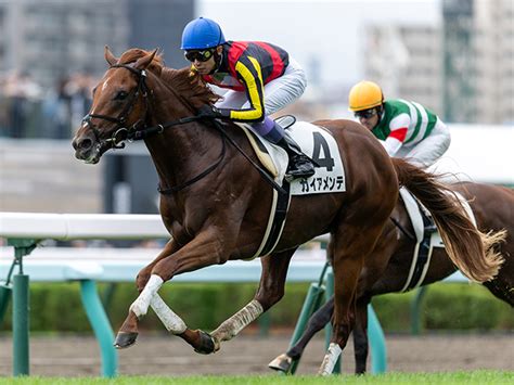 【札幌5r新馬戦結果】一騎打ちを制しガイアメンテがデビューv 2023年8月6日掲載 ライブドアニュース