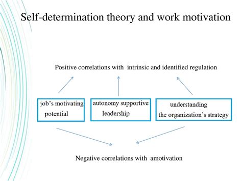 Self Determination Theory Online Presentation