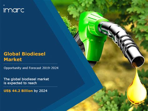 Biodiesel Market Size Share Price Trends Analysis And Outlook