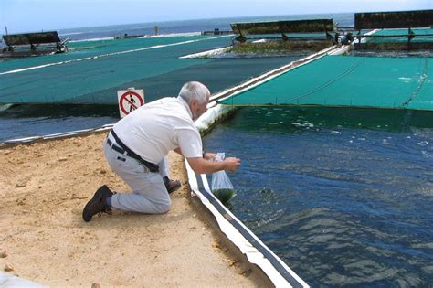 Aquaculture Key To Food Security And Nutrition