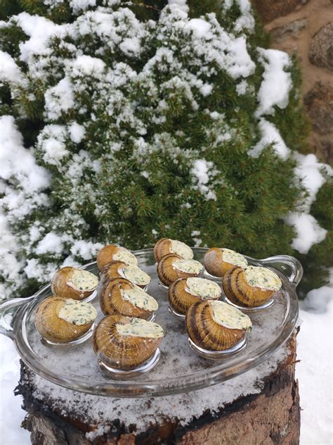 Coquilles Au Beurre Persill Surgel S U Escargots Des Bois