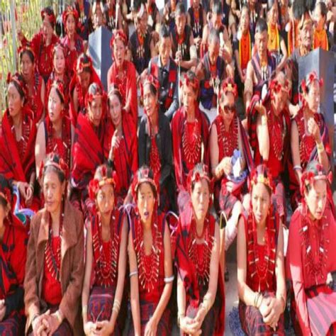 Nagaland Holds Its First Ever Naga Mircha Festival Sakshi Education