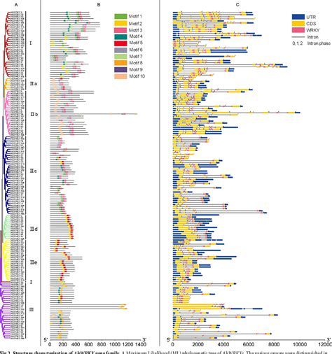 Figure From Identification And Expression Analysis Of Wrky Gene