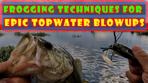 TOPWATER BLOWUPS Frog Fishing For Bass How To Walk Frogs YouTube