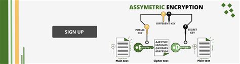 Symmetric vs Asymmetric Encryption: What’s the Difference?