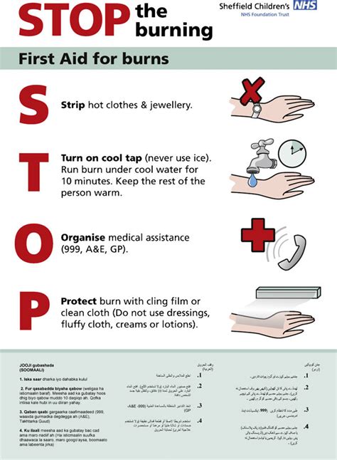 Basic First Aid Posters 51 Off