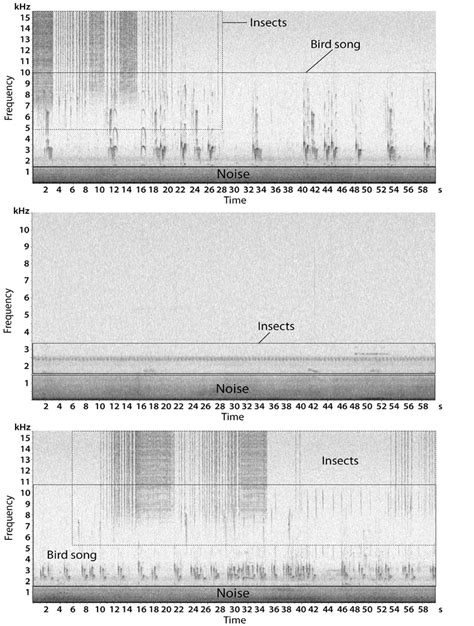 Spectrograms Of The Soundscape Recorded At The Border Of The Pontifical Download Scientific