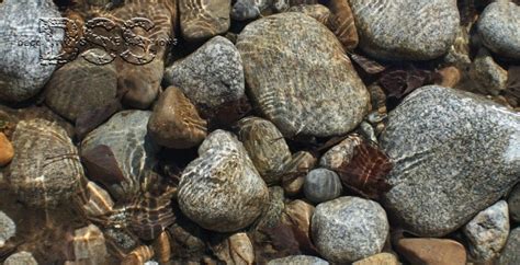 Innovative Landscape River Rock Ideas For Your Outdoor Space | by ...