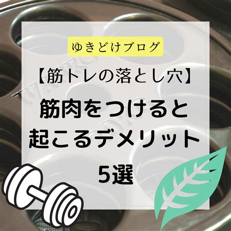 【筋トレの落とし穴】筋肉をつけると起こるデメリット5選 ｜ブログ｜ゆきどけ